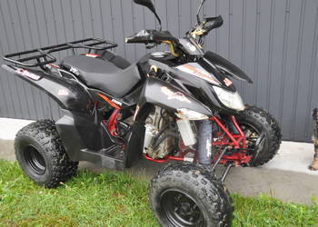 Quad Acces 250/KymcoCf MOTO Linhai Dinli,Yamaha Raptor 350  STAN ORGINALNY,