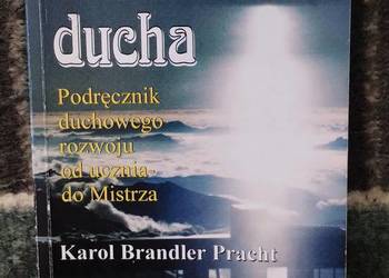 Kształcenie ducha - Karol Brandler Pracht