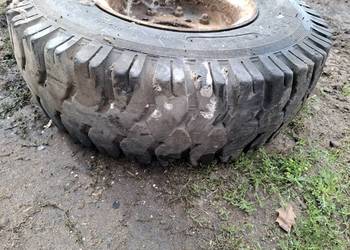 Kola 6.50 ×10