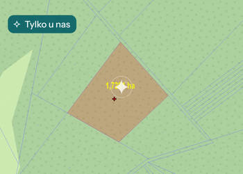 Działki leśne do sprzedaży Mokre gm. Rossosz