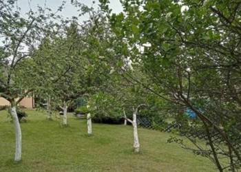 609 287 687 UROKLIWY DOMEK 35 MIN OD MIASTA WARSZAWA BLISKO CELESTYNOWA