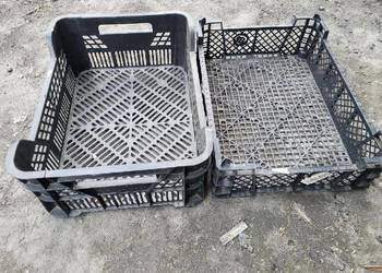 Skrzrzynka plastikowa Casi, pojemnik