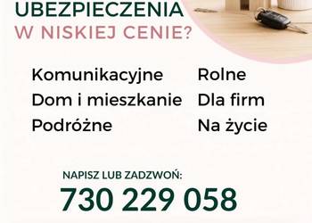 Ubezpieczenia w niskiej cenie.