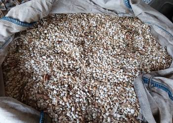 Fasola pellet pasza