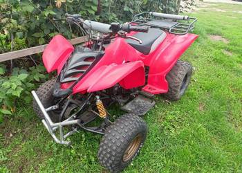 Quad Bashan