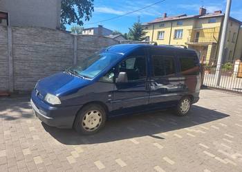 Peugeot Expert nie Jumpy nie Scudo