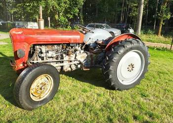 Ferguson FE35 Perkins 23c ZAREJESTROWANY