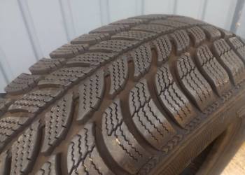 Opony zimowe Dębica Frigo 165/70R14