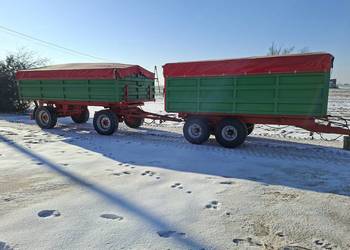 Przyczepa hl6011 oraz tandem, zarejstrowane, stan bdb