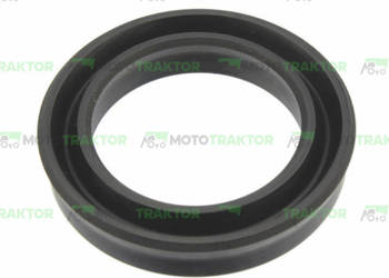 USZCZELNIACZ CLAAS 656117