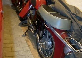 Gazela SHL M17