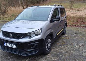 Zadbany rifter, serwisowany