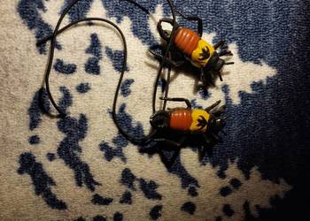 2  robaki na baterię  z  linką