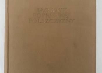 Słownik poprawnej polszczyzny