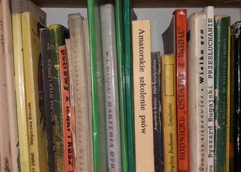 Do widzenia chłopcy książki prezenty unikaty antykwariaty