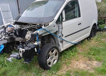 VW cedy
