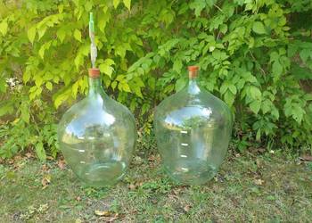baniak gąsior na wino