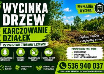 Wycinka Drzew | Karczowanie | Czyszczenie Działek i Terenów Leśnych