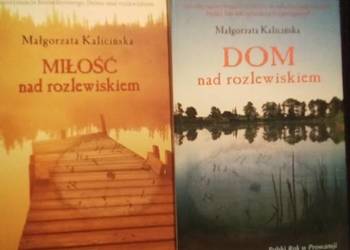 Dom nad rozlewiskiem, miłość nad rozlewiskiem, powroty nad rozlewiskiem