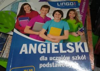 Język angielski szkoły podstawowe korepetycje kursy językowe wyprzedaż