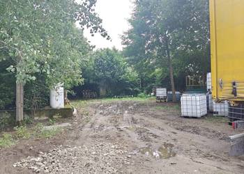 Syndyk sprzeda - Stegna