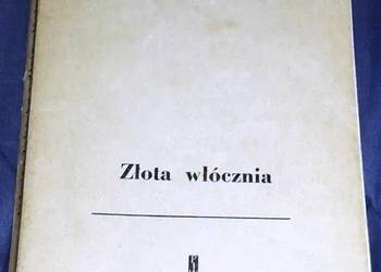 Złota włócznia - Jadwiga Żylińska