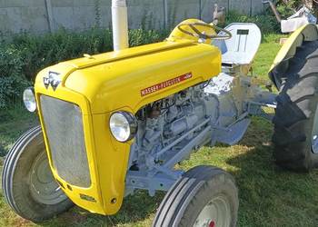 Massey Ferguson 35 benzyna