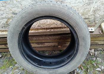 Opona zimowa Dębica 16