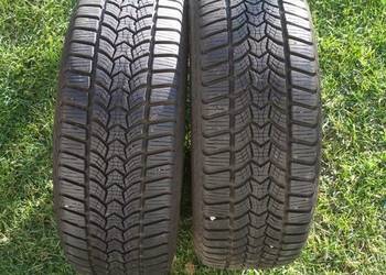 OPONY zimowe Dębica Frigo HP2 205/55R16