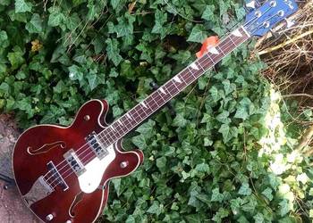 Nowa gitara basowa HB-60 WB Hollow Body
