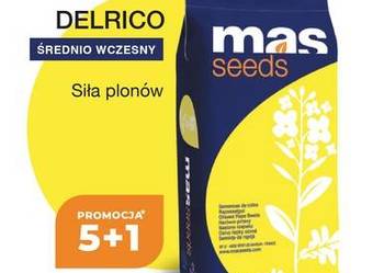 Nasiona rzepaku Delrico 5+1
