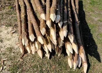 Kołki ogrodzeniowe pastuch ogrodzenie słupki paliki