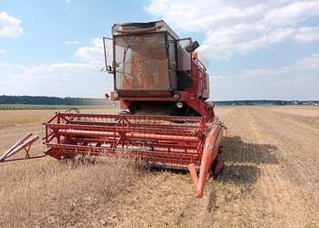 Kombajn bizon rekord