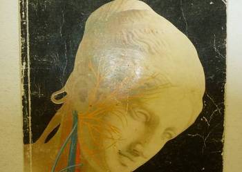 MALY ATLAS ANATOMICZNY - WITOLD SYLWANOWICZ