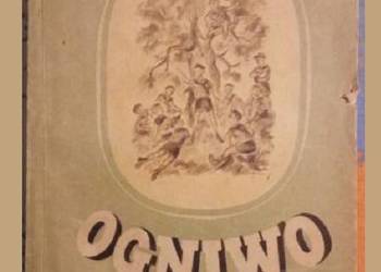 Ogniwo - Broniewska /Biblioteka Płomyka/ 1951 Ogniwo - Broniewska /Biblioteka Płomyka/ 1951