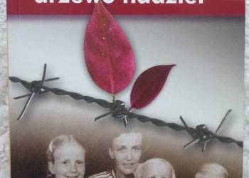 Szkarłatne drzewo nadziei Clara Olink Kelly