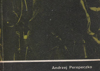 Komandosi w  akcji - A. Perepeczko.