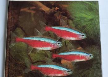 Akwarystyka - Aquarienpraxis kurz gefabt - Hans Frey (po niemiecku)