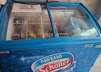Zamrażarka przeszklona przesuwna Nestle