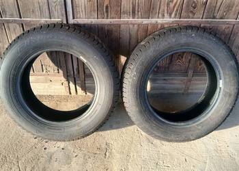 Opony dębica frigo 195/65/15 2023 rok