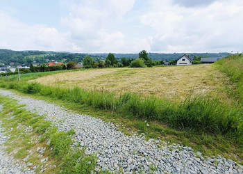 Działka pod zabudowę z piękną panoramą w Domaradzu