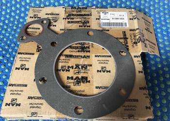 Man uszczelka turbiny 51.15901-0035