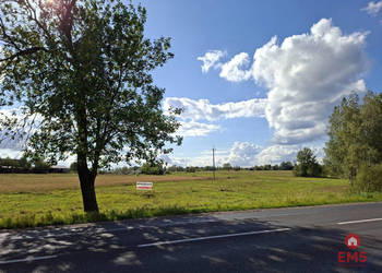 Grunt 21827m2 Kuriany