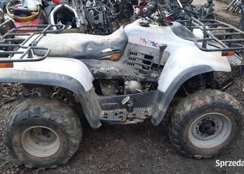 Linhai 50 oś 260 300 dyfer skrzynia na części Quad HyTrack