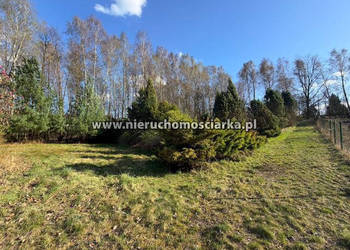 Działka 3750 metrów Wodzisław Śląski
