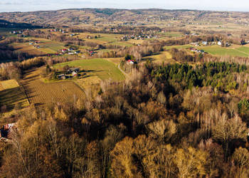 Działka leśna 49,99 ar Tuchów