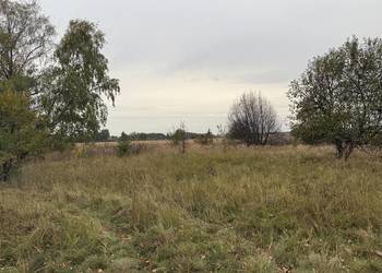 Działka rolna Baranów 5000m2 Działka rolna Baranów 5000m2