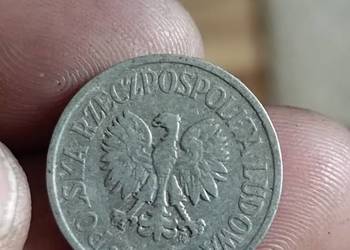 Sprzedam 20 gr 1967 r zzm