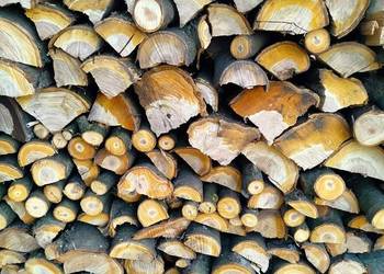 Czereśnia: Słodki dym do wędzarni, piękny płomień do paleniska