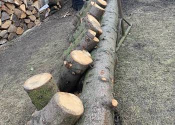 Kłoda świerkowa gruba